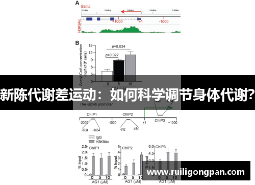 新陈代谢差运动：如何科学调节身体代谢？