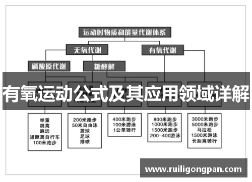 有氧运动公式及其应用领域详解