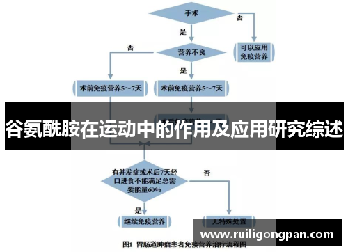 谷氨酰胺在运动中的作用及应用研究综述